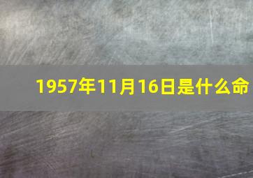 1957年11月16日是什么命