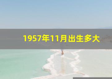 1957年11月出生多大