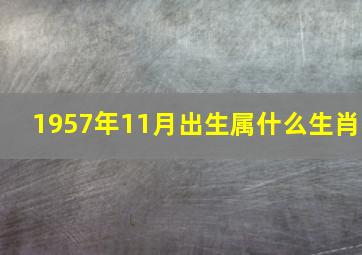 1957年11月出生属什么生肖