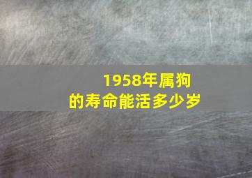 1958年属狗的寿命能活多少岁