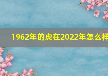 1962年的虎在2022年怎么样