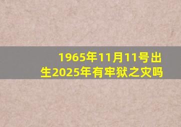 1965年11月11号出生2025年有牢狱之灾吗