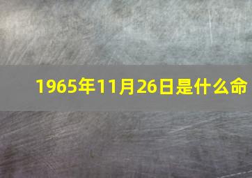 1965年11月26日是什么命