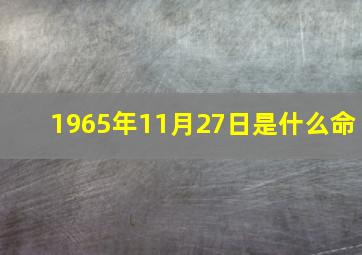 1965年11月27日是什么命