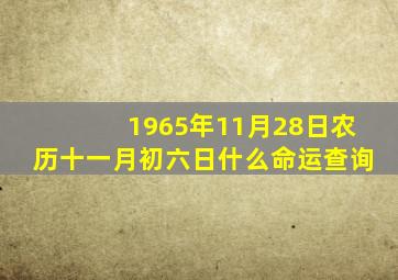 1965年11月28日农历十一月初六日什么命运查询