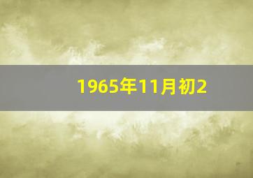 1965年11月初2