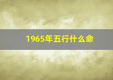 1965年五行什么命