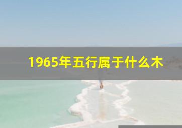 1965年五行属于什么木