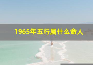 1965年五行属什么命人