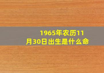 1965年农历11月30日出生是什么命