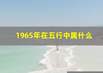 1965年在五行中属什么