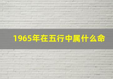 1965年在五行中属什么命