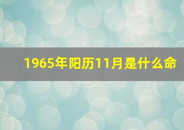 1965年阳历11月是什么命