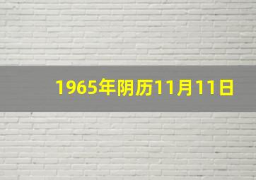 1965年阴历11月11日