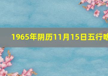 1965年阴历11月15日五行啥