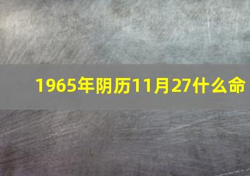 1965年阴历11月27什么命