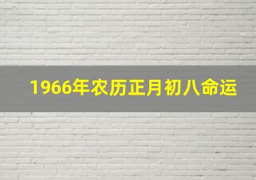 1966年农历正月初八命运