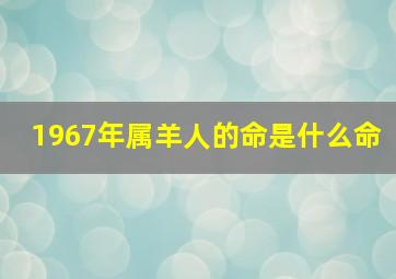 1967年属羊人的命是什么命