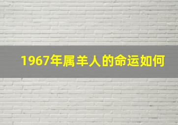 1967年属羊人的命运如何