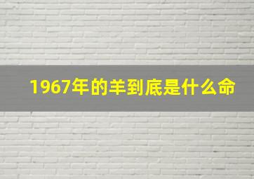 1967年的羊到底是什么命