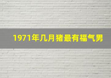 1971年几月猪最有福气男