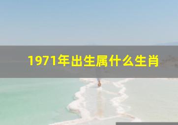 1971年出生属什么生肖