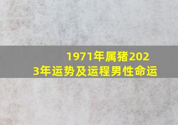 1971年属猪2023年运势及运程男性命运