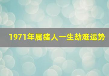 1971年属猪人一生劫难运势