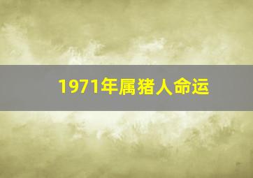 1971年属猪人命运