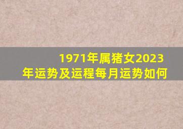 1971年属猪女2023年运势及运程每月运势如何