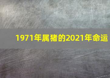 1971年属猪的2021年命运