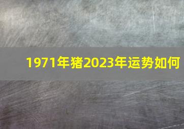 1971年猪2023年运势如何