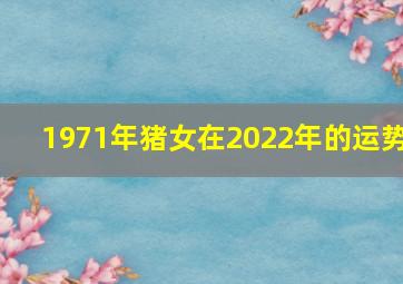 1971年猪女在2022年的运势