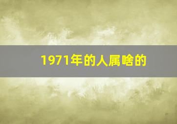 1971年的人属啥的