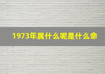 1973年属什么呢是什么命