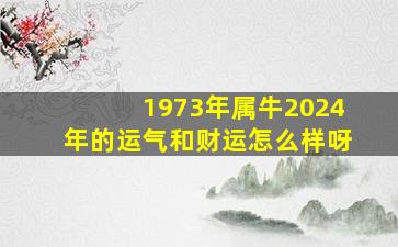 1973年属牛2024年的运气和财运怎么样呀