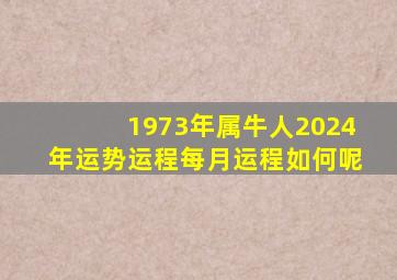 1973年属牛人2024年运势运程每月运程如何呢