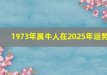 1973年属牛人在2025年运势