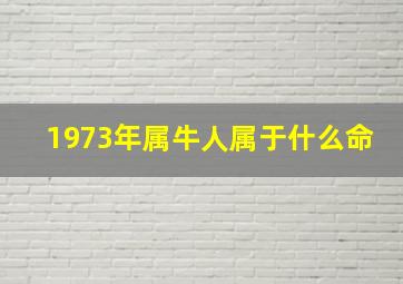 1973年属牛人属于什么命