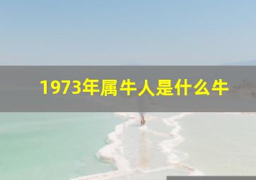 1973年属牛人是什么牛