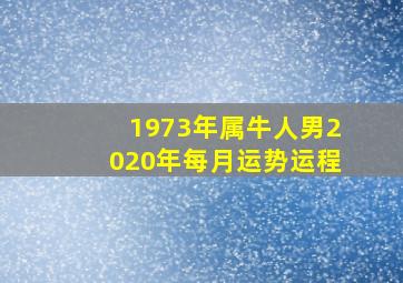 1973年属牛人男2020年每月运势运程