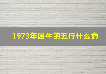 1973年属牛的五行什么命