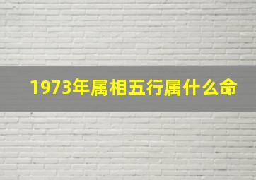 1973年属相五行属什么命