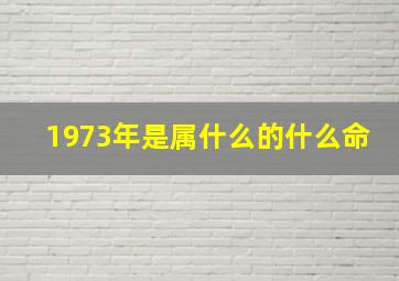 1973年是属什么的什么命