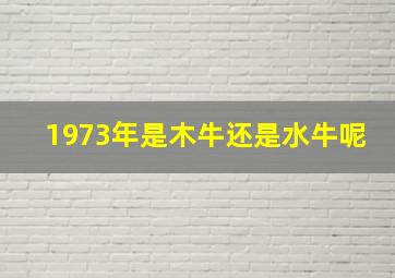 1973年是木牛还是水牛呢