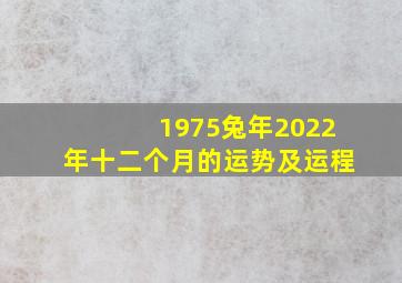 1975兔年2022年十二个月的运势及运程