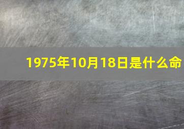 1975年10月18日是什么命