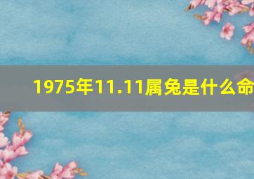 1975年11.11属兔是什么命