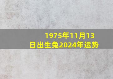 1975年11月13日出生兔2024年运势