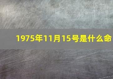 1975年11月15号是什么命